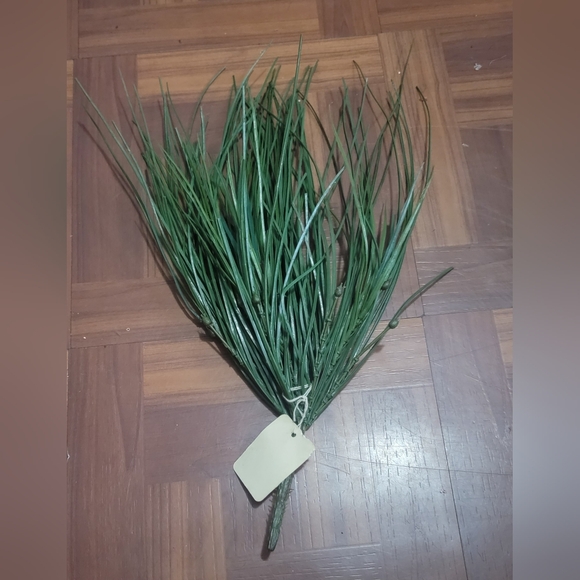 Bear Grass Bush 23". each - Picture 6 of 6